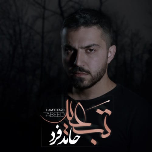 دانلود آهنگ جدید حامد فرد بنام تبعید با لینک مستقیم