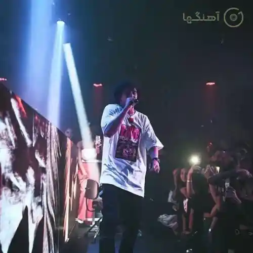 دانلود آهنگ جیدال بنفش
